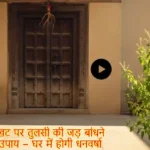 दरवाजे की चौखट पर तुलसी की जड़ बांधने का चमत्कारी उपाय – घर में होगी धनवर्षा